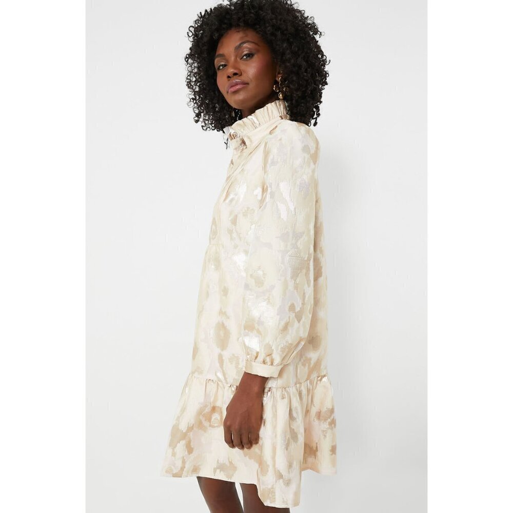 NWT Tuckernuck Champagne Fil Coupe Palmerston Dress - Picture 4 of 5